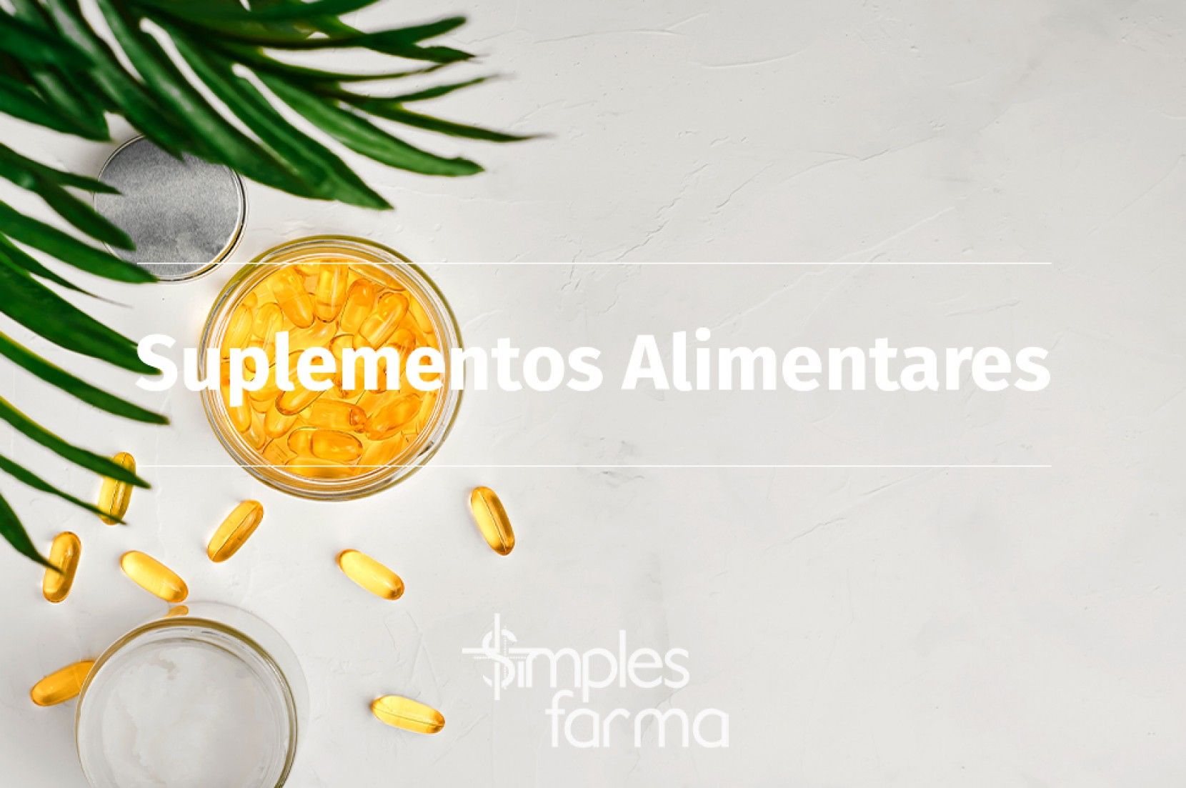 Suplementos Alimentares Suplementos Alimentares