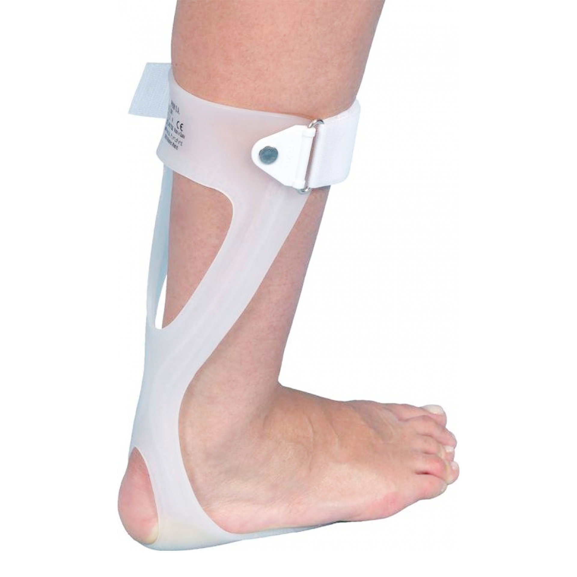 Tala Antiequino D-81M