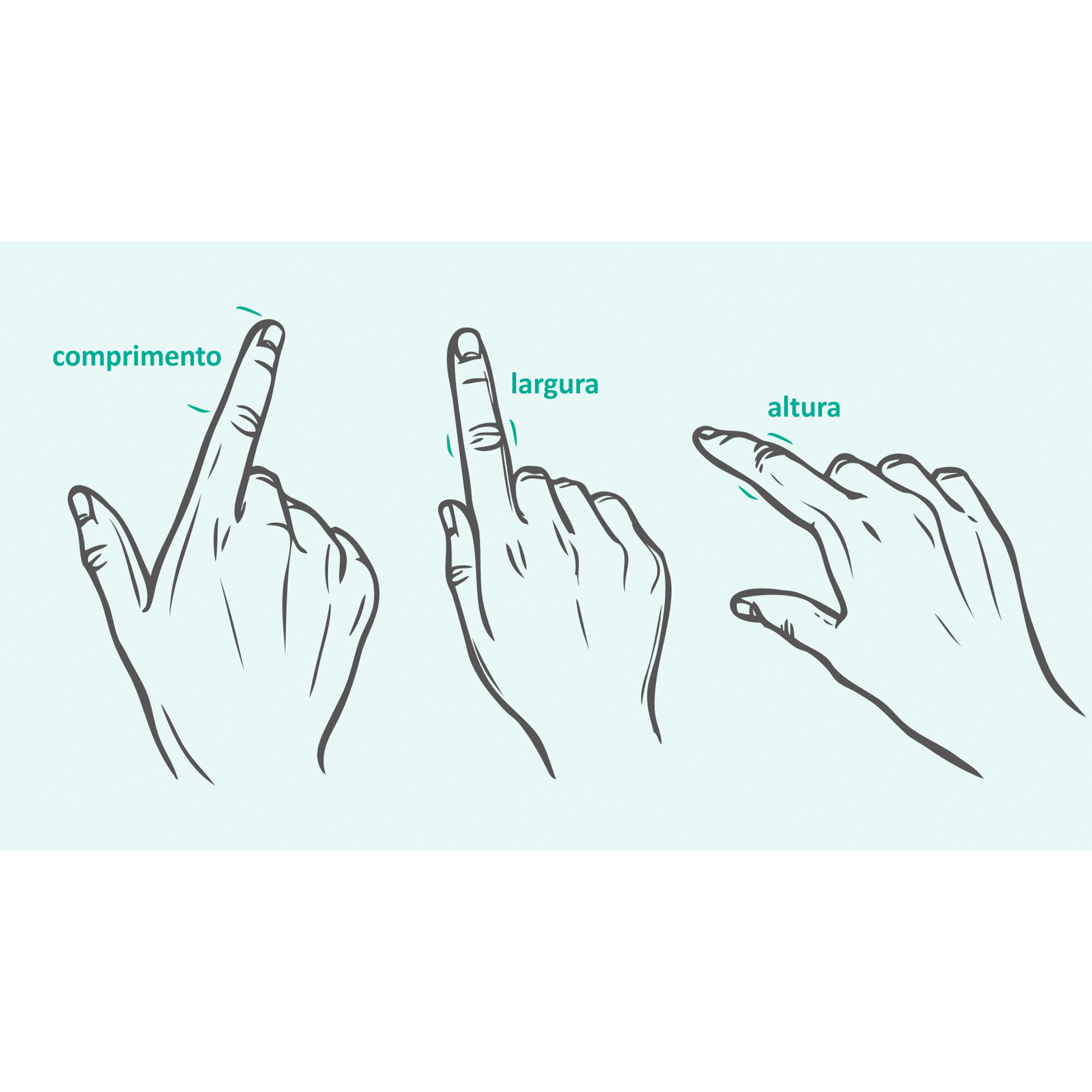 Tala para Dedo em Plástico Staxx - Oppo 3280 | 3 unidades